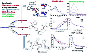 Graphical abstract: New copper(ii) complexes of the anti-inflammatory drug mefenamic acid: a concerted study including synthesis, physicochemical characterization and their biological evaluation