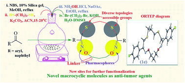 Graphical abstract: Discovery of a new class of 16-membered (2Z,11Z)-3,11-di(aryl/naphthyl)-1,13-dioxa-5,9-dithia-2,12-diazacyclohexadeca-2,11-dienes as anti-tumor agents