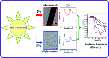 Graphical abstract: Facile biosurfactant assisted biocompatible α-Fe2O3 nanorods and nanospheres synthesis, magneto physicochemical characteristics and their enhanced biomolecules sensing ability