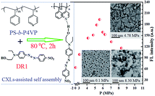 Graphical abstract: CO2-expanded liquid assisted self-assembly between Disperse Red 1 and PS-b-P4VP