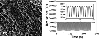 Graphical abstract: Electrical behaviour of native cellulose nanofibril/carbon nanotube hybrid aerogels under cyclic compression