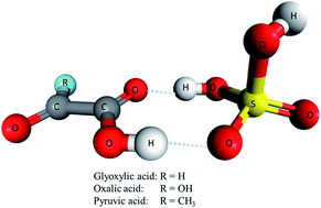 Graphical abstract: Hydrogen bonding in cyclic complexes of carboxylic acid–sulfuric acid and their atmospheric implications