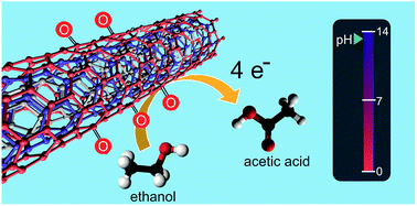 Graphical abstract: Effect of oxygen functionalisation on the electrochemical behaviour of multiwall carbon nanotubes for alcohol oxidation reactions
