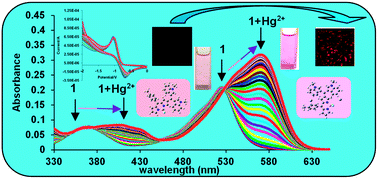 Graphical abstract: Indole-BODIPY: a “turn-on” chemosensor for Hg2+ with application in live cell imaging