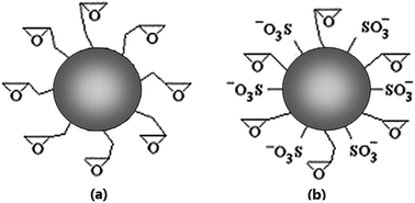 Graphical abstract: Stabilized enzyme immobilization on micron-size PSt–GMA microspheres: different methods to improve the carriers' surface biocompatibility