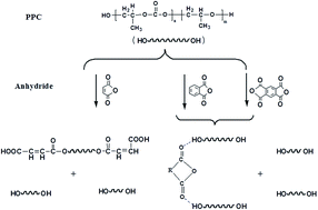 Graphical abstract: Structure, and thermal and mechanical properties of poly(propylene carbonate) capped with different types of acid anhydride via reactive extrusion