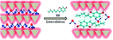 Graphical abstract: Inorganic layered double hydroxides as a 4-hexyl resorcinol delivery system for topical applications
