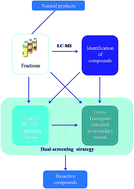Graphical abstract: Development of a dual screening strategy to identify pro-angiogenic compounds from natural products: application on Tongmai Yangxin Pills