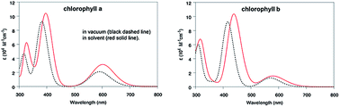 Graphical abstract: Optical absorption and electronic spectra of chlorophylls a and b
