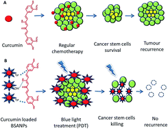 Graphical abstract: Nano-curcumin influences blue light photodynamic therapy for restraining glioblastoma stem cells growth