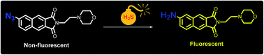 Graphical abstract: Investigation of a sensing approach based on a rapid reduction of azide to selectively measure bioavailability of H2S