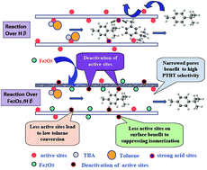 Graphical abstract: Friedel–Crafts alkylation of toluene with tert-butyl alcohol over Fe2O3-modified Hβ