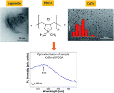 Graphical abstract: Thiol-capped CdTe quantum dots hosted in saponites
