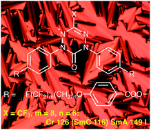 Graphical abstract: Induction of smectic polymorphism in bent-core derivatives of the 6-oxoverdazyl by partial fluorination of alkyl chains