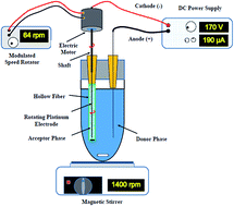 Graphical abstract: Rotating electrode in electro membrane extraction: a new and efficient methodology to increase analyte mass transfer