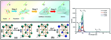 Graphical abstract: Up-conversion luminescence behaviors in Er3+ doped single crystal KNbO3 nanosheets