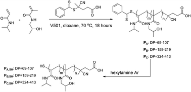 Graphical abstract: A RAFT copolymerization of NIPAM and HPMA and evaluation of thermo-responsive properties of poly(NIPAM-co-HPMA)