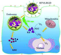 Graphical abstract: Bifunctional nanocapsules for magnetic resonance imaging and photodynamic therapy