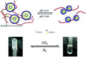Graphical abstract: Endowing a cationic hydrophobic associating polyacrylamide solution with CO2 switchable properties using N,N-dimethylolamidopropylamine via the assembly transition between vesicles and spherical micelles by CO2