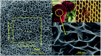 Graphical abstract: Binder-free electrodes of NiMoO4/graphene oxide nanosheets: synthesis, characterization and supercapacitive behavior