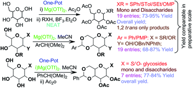 Graphical abstract: Efficient one-pot per-O-acetylation–thioglycosidation of native sugars, 4,6-O-arylidenation and one-pot 4,6-O-benzylidenation–acetylation of S-/O-glycosides catalyzed by Mg(OTf)2