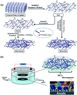 Graphical abstract: Nitrogen doped graphene supported α-MnO2 nanorods for efficient ORR in a microbial fuel cell
