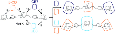 Graphical abstract: An adamantane-based disubstituted binding motif with picomolar dissociation constants for cucurbit[n]urils in water and related quaternary assemblies