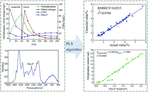 Graphical abstract: Rapid and pollution-free characterization of intracellular polyphosphate and orthophosphate using mid-infrared spectroscopy combined with chemometrics in the denitrifying phosphorus removal process