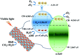 Graphical abstract: Facile fabrication of heterostructured cubic-CuFe2O4/ZnO nanofibers (c-CFZs) with enhanced visible-light photocatalytic activity and magnetic separation