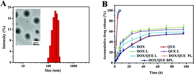 Graphical abstract: Co-delivery of doxorubicin and the traditional Chinese medicine quercetin using biotin–PEG2000–DSPE modified liposomes for the treatment of multidrug resistant breast cancer
