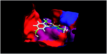 Graphical abstract: Discovery of novel cinnamylidene-thiazolidinedione derivatives as PTP-1B inhibitors for the management of type 2 diabetes