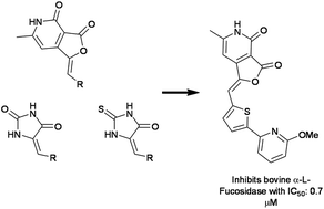 Graphical abstract: Bioisosteric modification of known fucosidase inhibitors to discover a novel inhibitor of α-l-fucosidase
