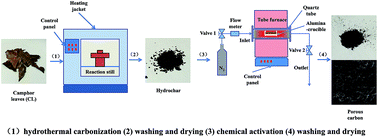 Graphical abstract: Preparation and CO2 adsorption properties of porous carbon from camphor leaves by hydrothermal carbonization and sequential potassium hydroxide activation