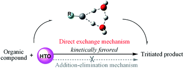 Graphical abstract: Isotope exchange reaction in tritium-contaminated vacuum pump oil: mechanism and HTO effect