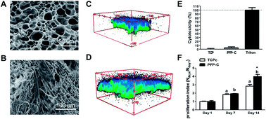 Graphical abstract: The 3D mechanical environment and chemical milieu influence the hMSC fibrogenesis and fibroblast-to-myofibroblast transition