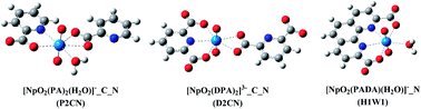 Graphical abstract: Influence of denticity and combined soft–hard strategy on the interaction of picolinic-type ligands with NpO2+