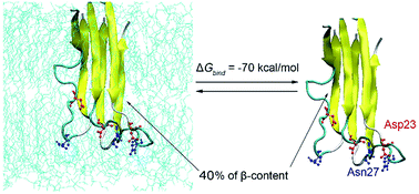 Graphical abstract: Replica exchange molecular dynamics study of the amyloid beta (11–40) trimer penetrating a membrane