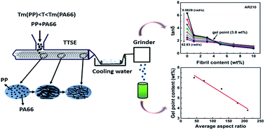 Graphical abstract: Improved viscoelastic, thermal, and mechanical properties of in situ microfibrillar polypropylene/polyamide 6,6 composites via direct extrusion using a triple-screw extruder