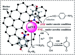 Graphical abstract: New insights into the activity of a biochar supported nanoscale zerovalent iron composite and nanoscale zero valent iron under anaerobic or aerobic conditions