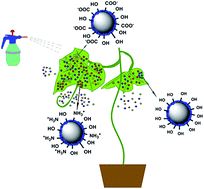 Graphical abstract: Development of functionalized abamectin poly(lactic acid) nanoparticles with regulatable adhesion to enhance foliar retention