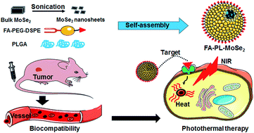 Graphical abstract: Facile synthesis of biocompatible MoSe2 nanoparticles for efficient targeted photothermal therapy of human lung cancer