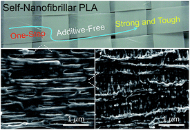 Graphical abstract: Self-nanofibrillation strategy to an unusual combination of strength and toughness for poly(lactic acid)