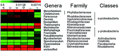 Graphical abstract: Bacterial community compositions of propylene oxide saponification wastewater treatment plants