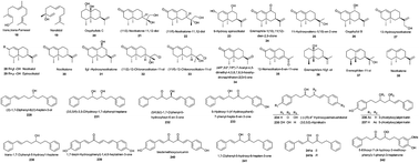 Graphical abstract: An overview of chemical constituents from Alpinia species in the last six decades