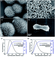 Graphical abstract: The effects of dissociated rods and rod-surfaced microspheres on bone mesenchymal stem cellular viability