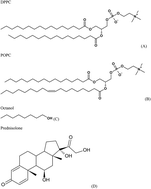 Graphical abstract: Prednisolone adsorption on lung surfactant models: insights on the formation of nanoaggregates, monolayer collapse and prednisolone spreading