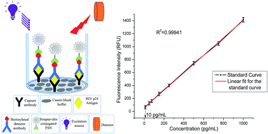 Graphical abstract: Fluorescent silver nanoparticle based highly sensitive immunoassay for early detection of HIV infection