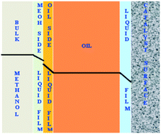 Graphical abstract: Investigation of mass transfer limitations in simultaneous esterification and transesterification of triglycerides using a heterogeneous catalyst