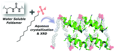 Graphical abstract: Surfactant-facilitated crystallisation of water-soluble foldamers