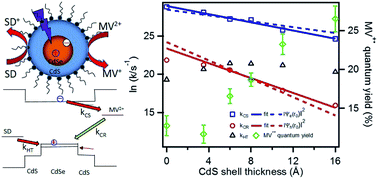 Graphical abstract: Enhancing photo-reduction quantum efficiency using quasi-type II core/shell quantum dots